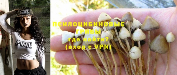ешки Верхний Тагил