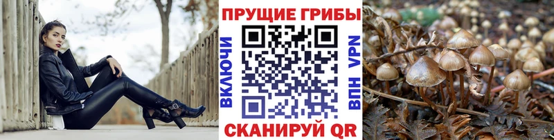 Псилоцибиновые грибы Psilocybine cubensis  ссылка на мегу вход  Орск 